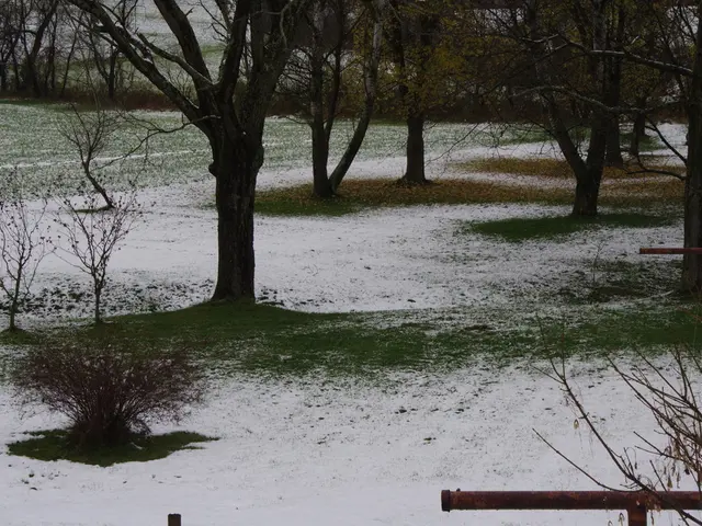 Comprehending Fertilizers Made Easy: Your Guide to Basic Fertilizer Labeling