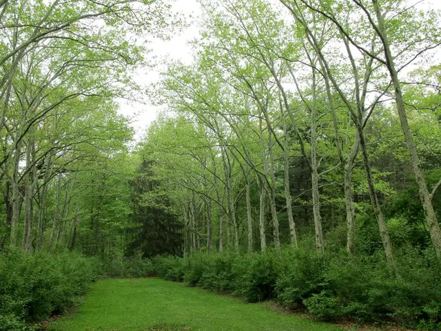 Animals and vegetation in France face grave danger due to the heating wave, described as more akin...