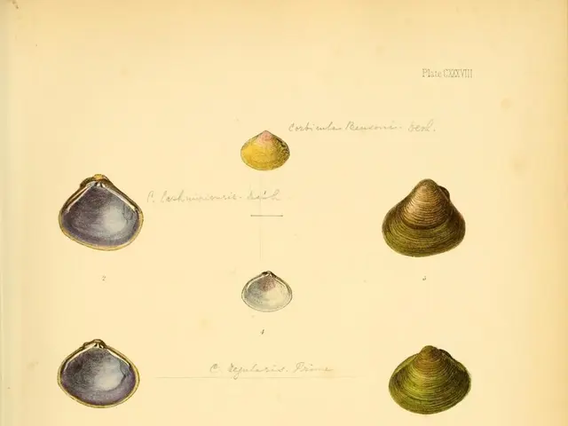 Shell-blowing ancient practice may assist in managing prevalent sleep disturbance