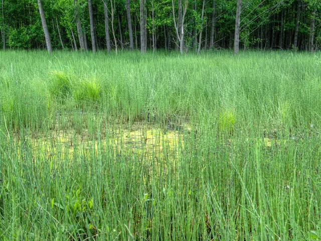 Doubled Donations: Your Generosity Pays Off Twice