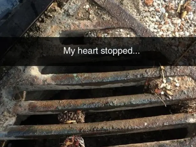 Kidney Connection and Heart Failure: Unraveling Their Ties