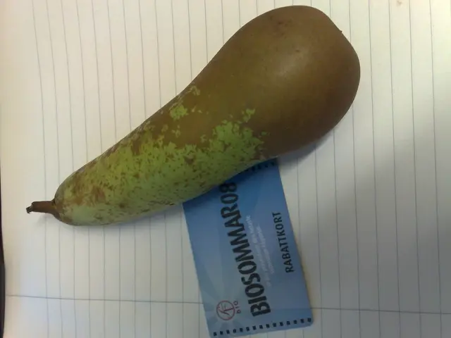 Heel Gout: Signs, Causes, and Remedies