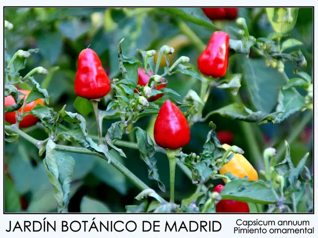 Warnings issued regarding the potential risks associated with widely-praised organic goods by trade...