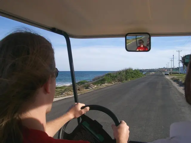 Requiring Transportation Services