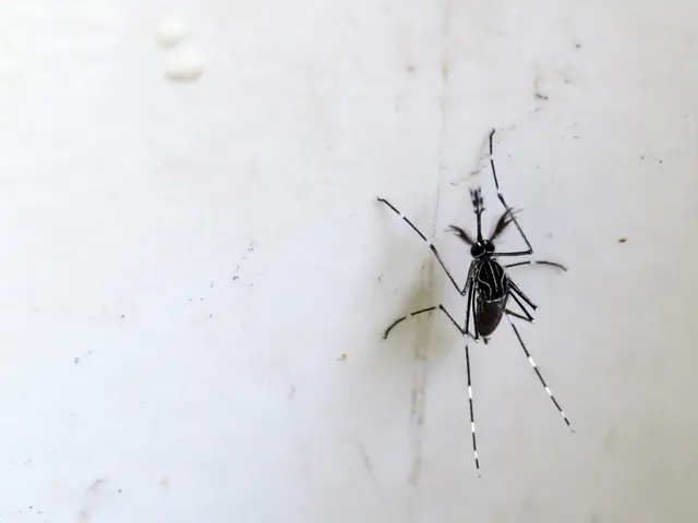 Five Halton locals have contracted the West Nile virus.