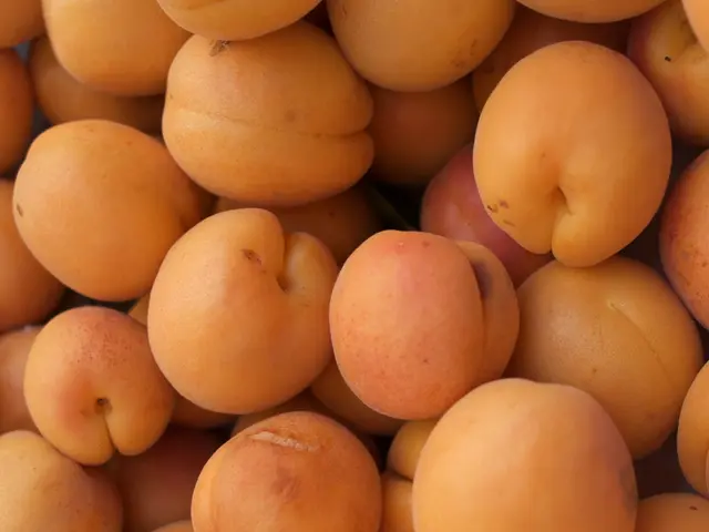 Advantages Rooted in History: Science-Supporting Perks of Oranges