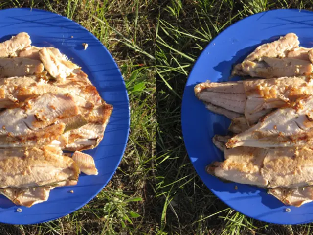 Authorities advocate a series of strategies to address the widespread issue of elevated animal...