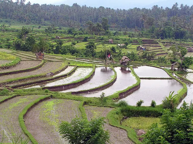 Health Disaster Due to Climate Change: A Radical Solution Presented by a Medical Professional