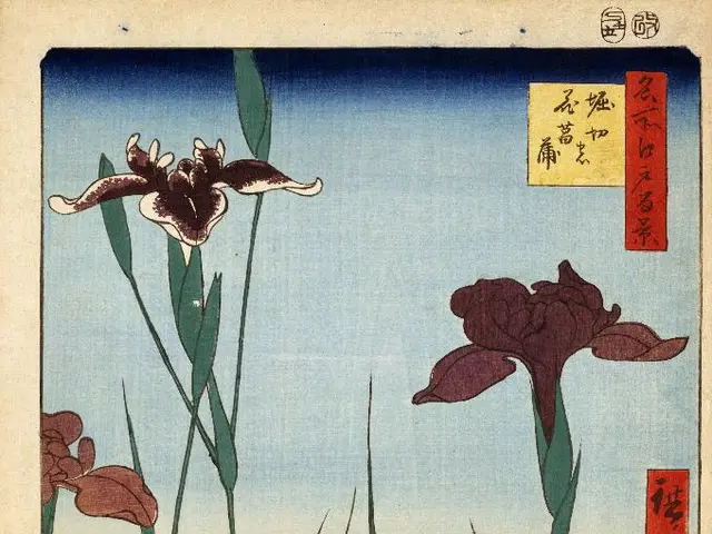 African standards for cotton undergo review in open public discussion