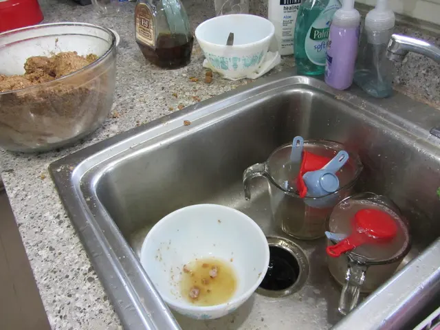 Intestinal Infection (Stomach Ailment): Manifestations and Remedies