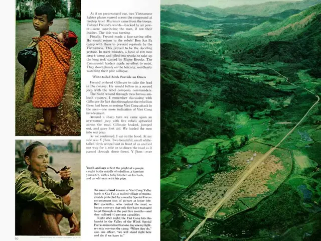 In this image, there is an article contains pictures and some text.