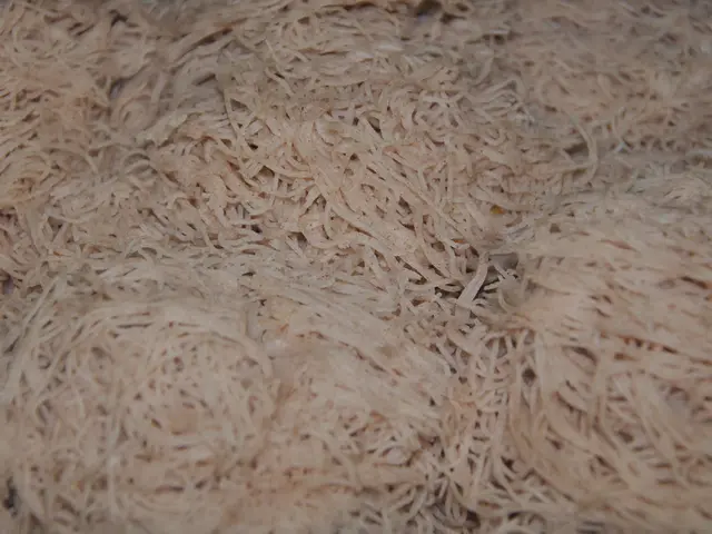 In the foreground of this image, there are noodles.