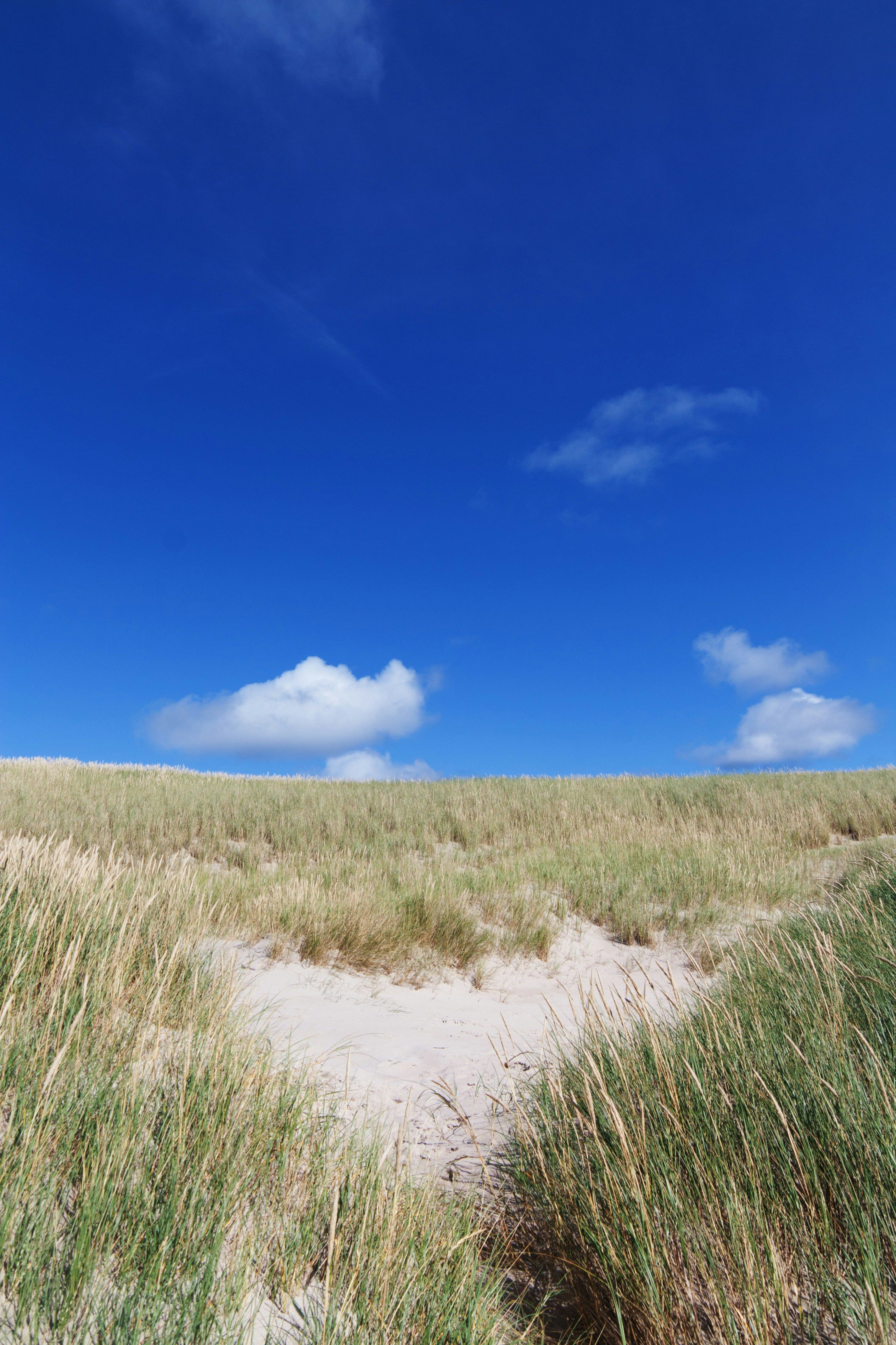 Ancient Time Capsule Intended to Preserve Humanity for Half a Millennium