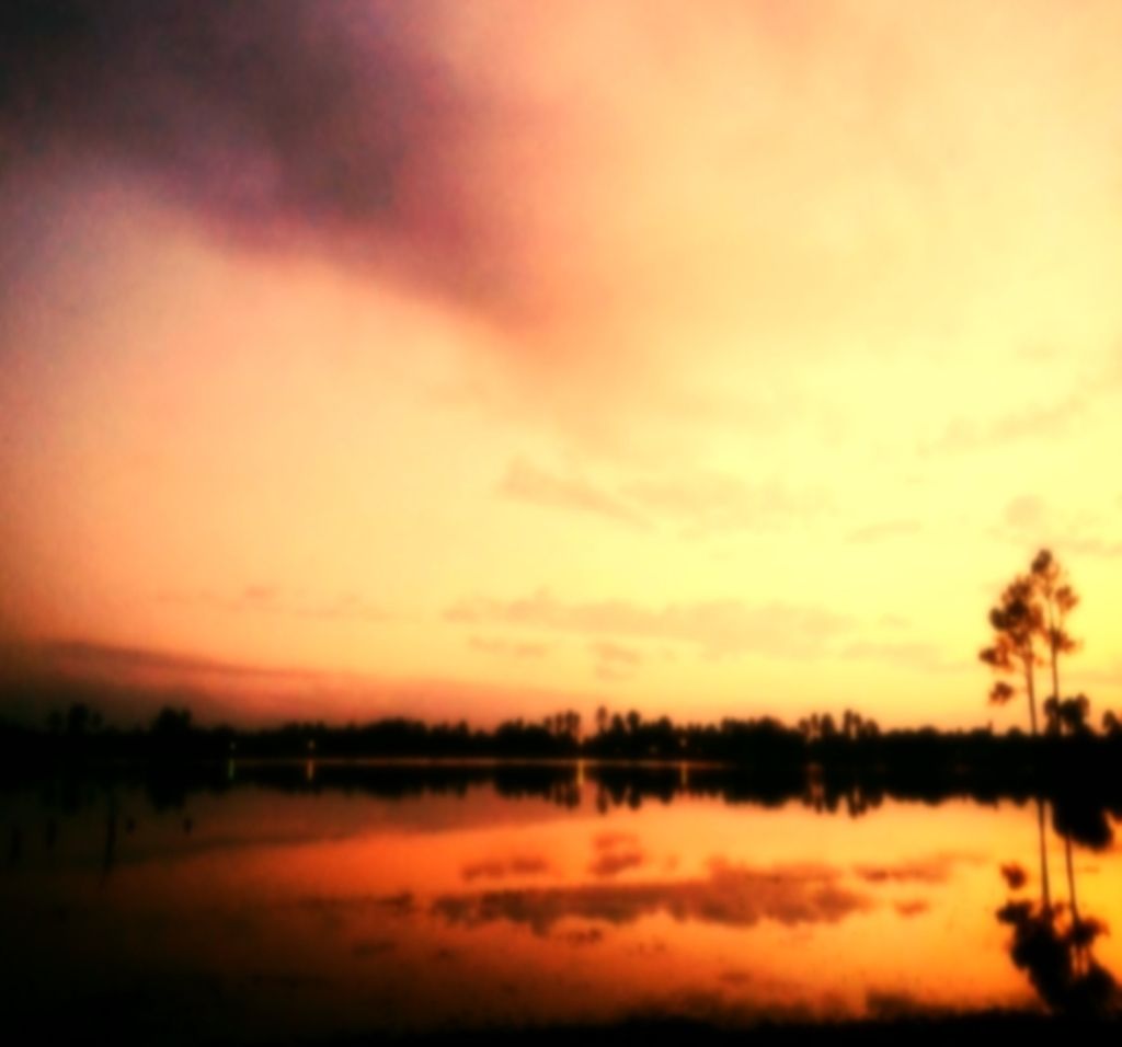 Low blood supply levels in Bavaria: Scarcity primarily attributed to insufficient donors. Discover...