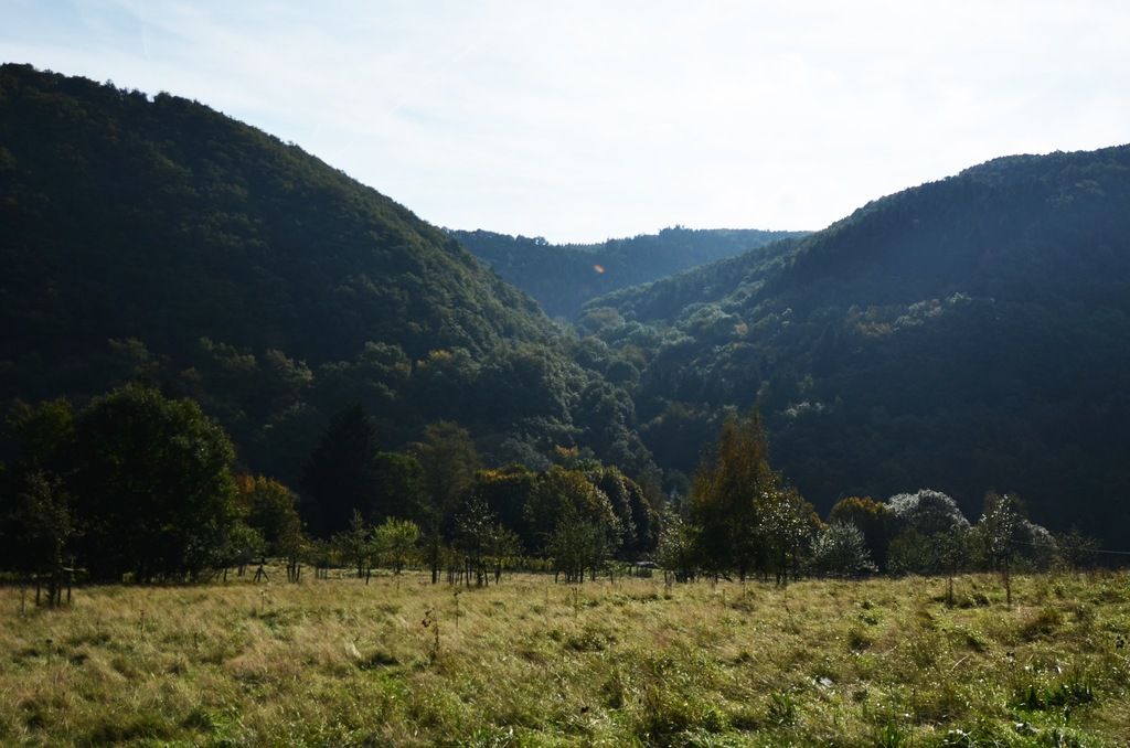 Heart Health Unraveled: Defibrillators Explained - A Close Look at These Lifesaving Devices.